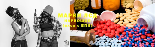 прущие грибы Армянск