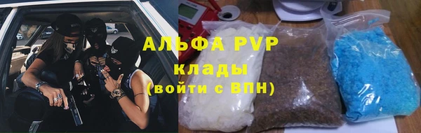 прущие грибы Армянск