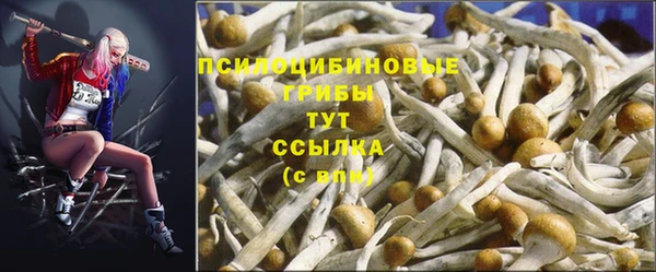 COCAINE Арсеньев