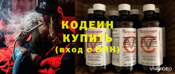 прущие грибы Армянск