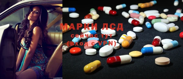 прущие грибы Армянск
