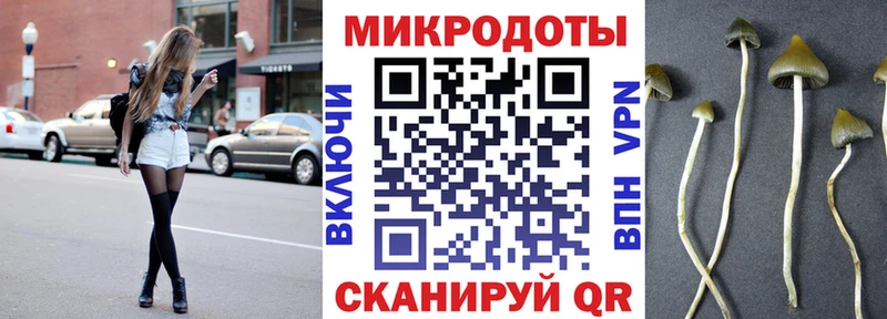 наркошоп  Армянск  Галлюциногенные грибы Psilocybe 